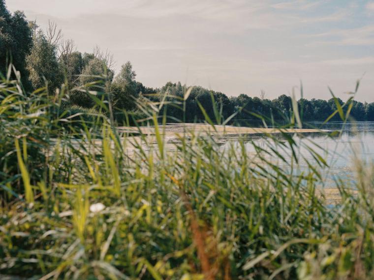 referentiebeeld plas