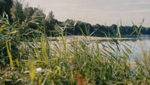 referentiebeeld plas